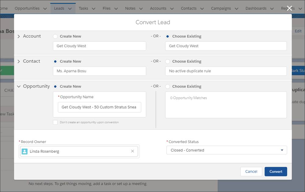 To convert leads, use the Convert Lead page.